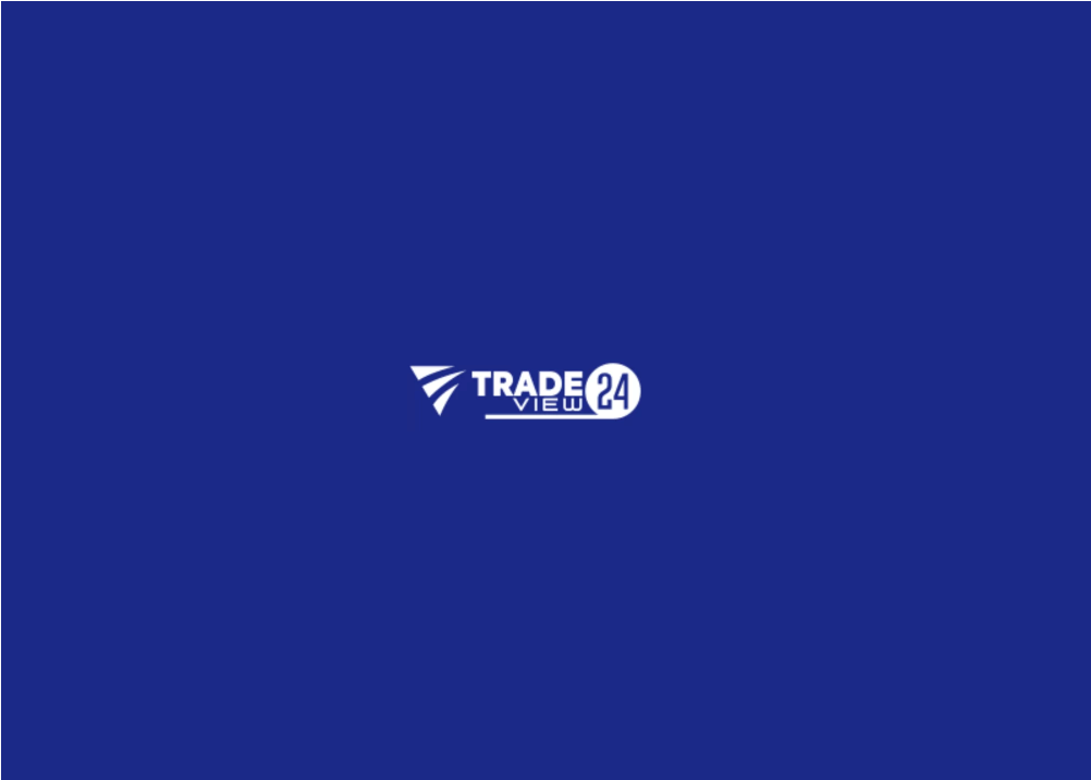 trade24view логотип