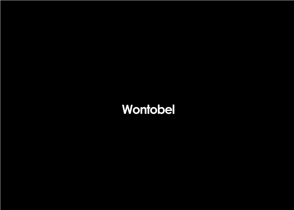 wontobel логотип